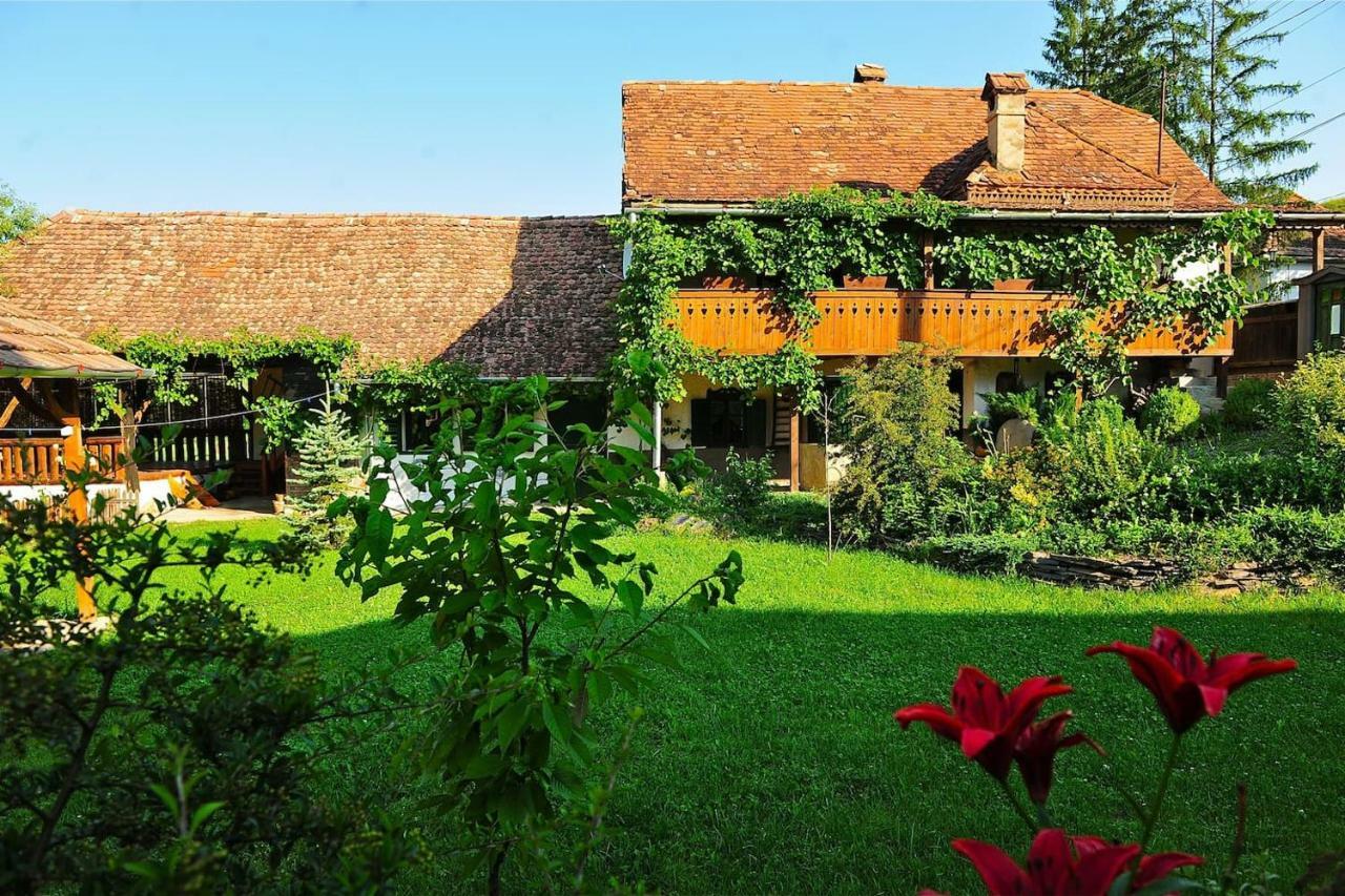 Transylvanian Country House Vetca Esterno foto