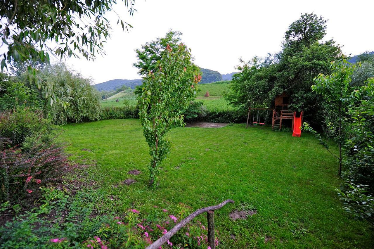 Transylvanian Country House Vetca Esterno foto